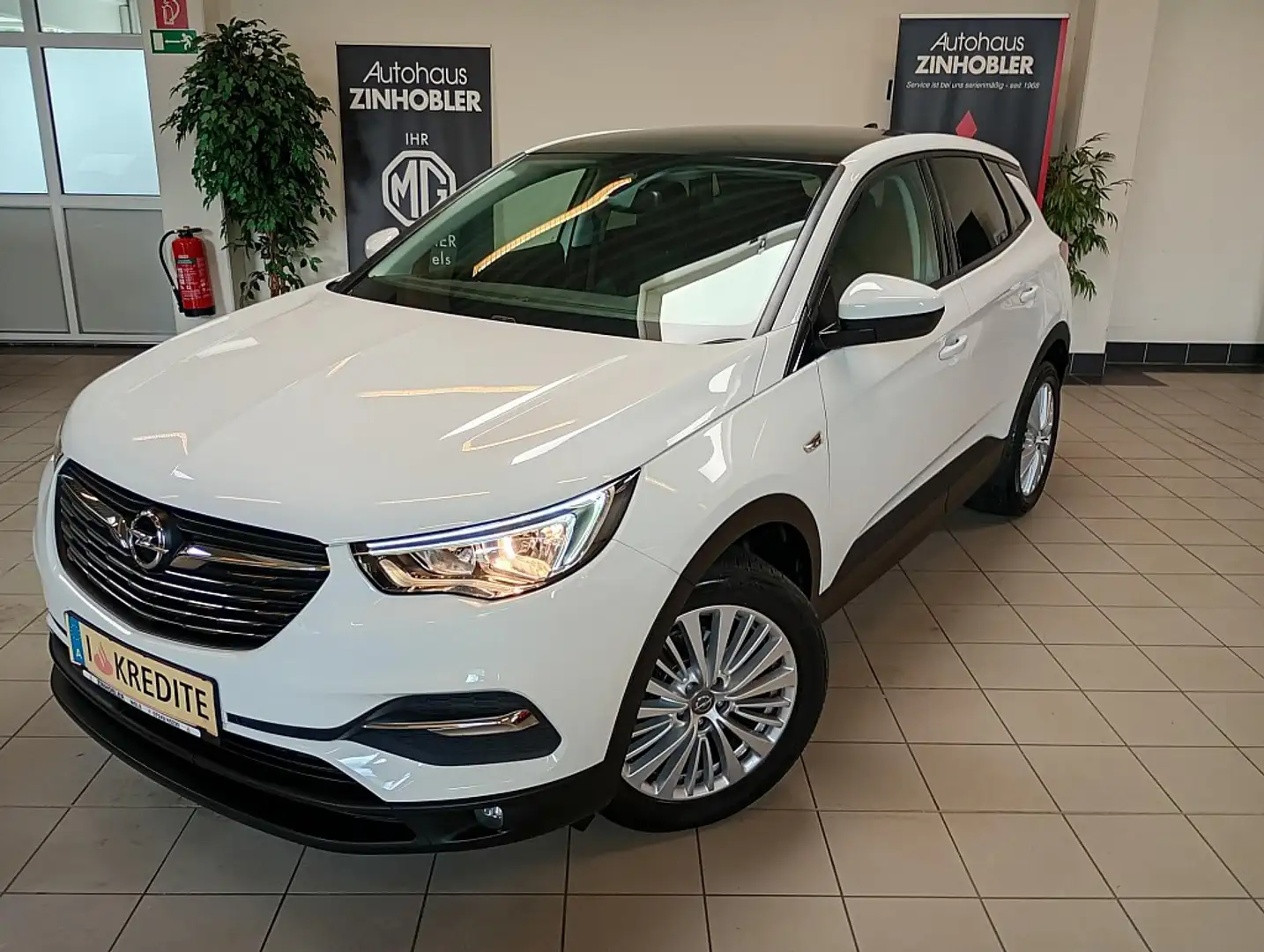 Opel Grandland X 1,6 CDTI BlueInjection Edition Aut. Start/Stopp Weiß - 1