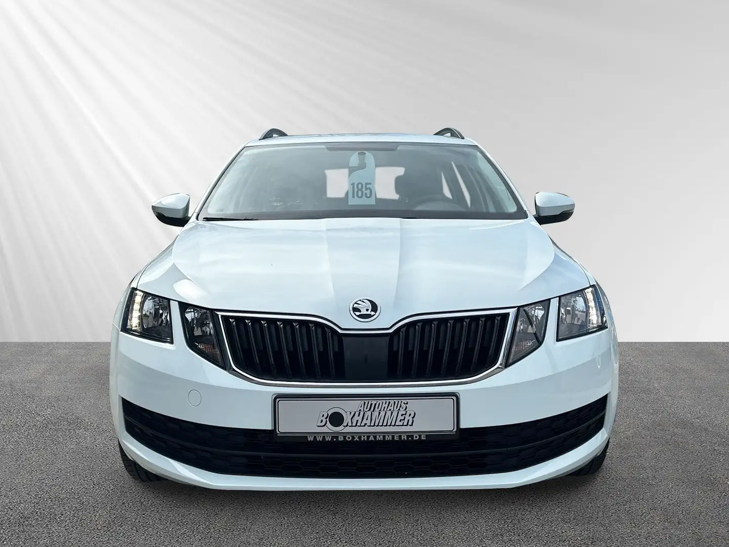 Skoda Octavia Combi 1,0 TSI Active AHK+PDC hinten+EL.SPIEGEL Weiß - 2