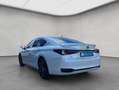 Lexus ES300h Business Line MY25 Blanc - thumbnail 3