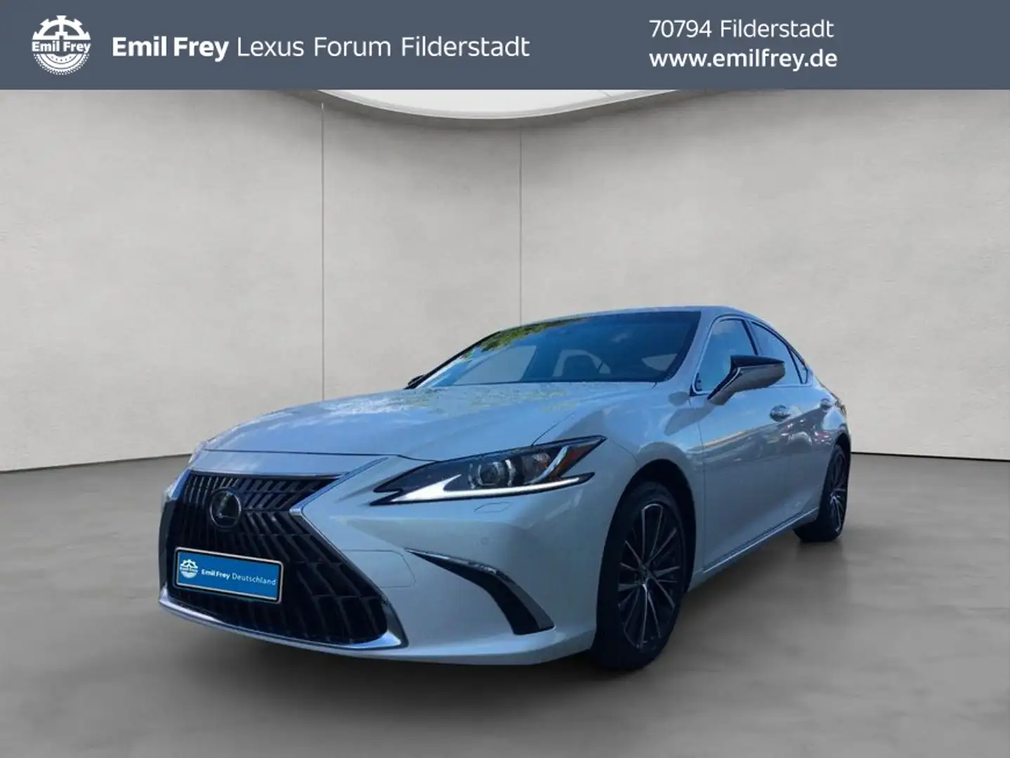 Lexus ES300h Business Line MY25 Blanc - 1