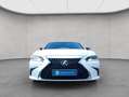 Lexus ES300h Business Line MY25 Blanc - thumbnail 5