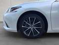 Lexus ES300h Business Line MY25 Blanc - thumbnail 6