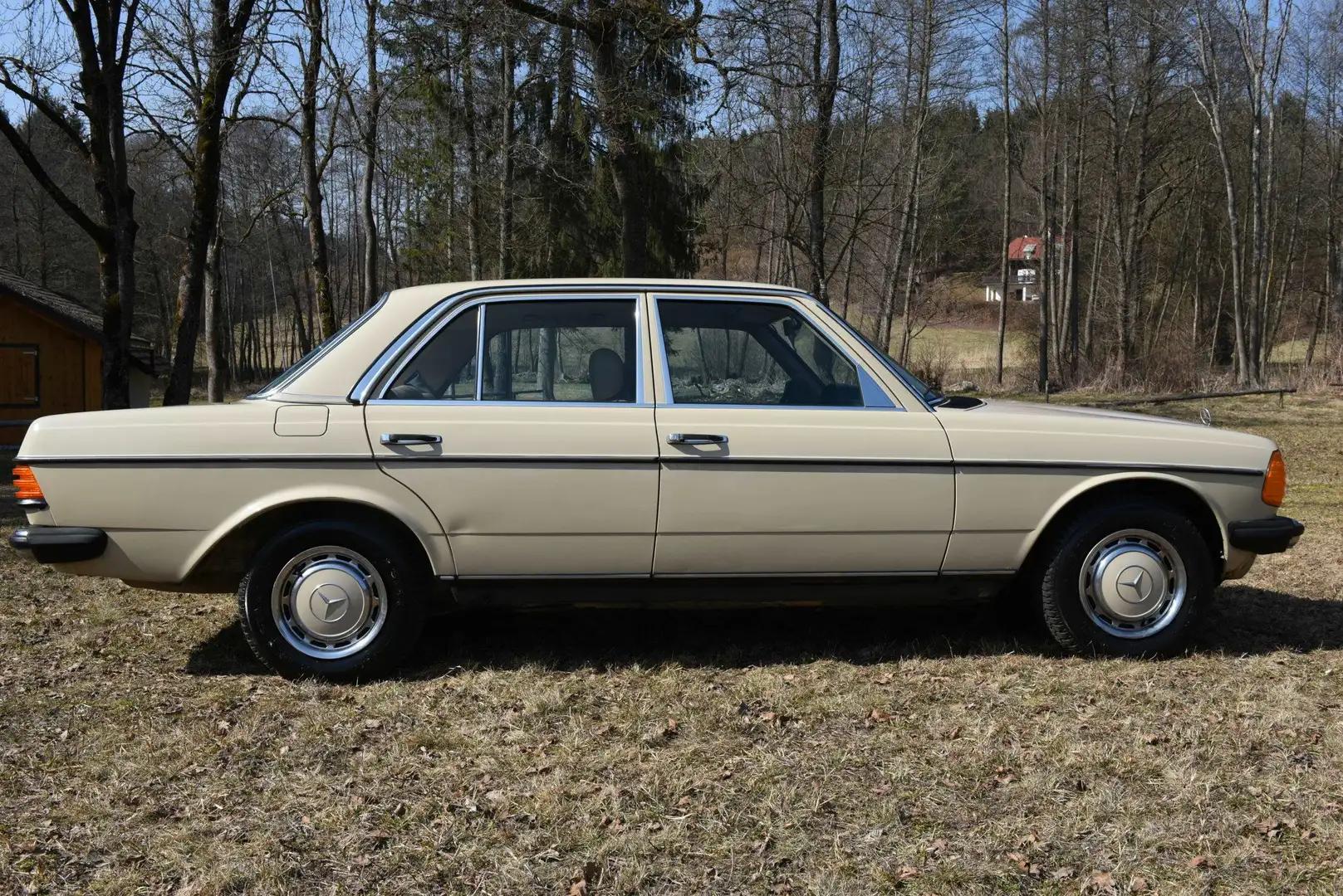 Mercedes-Benz E 230 230 E W123 Beige - 2