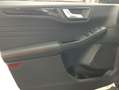 Ford Kuga 2.0 EcoBlue Aut. ST-LINE Weiß - thumbnail 13