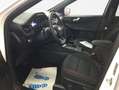 Ford Kuga 2.0 EcoBlue Aut. ST-LINE Weiß - thumbnail 7