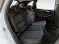 Ford Kuga PHEV Titanium Blanc - thumbnail 9