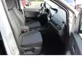 Ford Tourneo Connect 2.0 EcoBlue 122 CV Titanium Argento - thumbnail 3