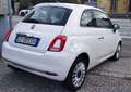 Fiat 500 1.2 Lounge  € 99 AL MESE Wit - thumbnail 9
