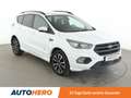 Ford Kuga 1.5 EcoBoost ST-Line Aut.*NAVI*BiXENON*CAM*SHZ*LHZ Weiß - thumbnail 8