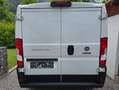 Fiat Ducato 30 L1H1 Weiß - thumbnail 4
