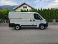 Fiat Ducato 30 L1H1 Weiß - thumbnail 2