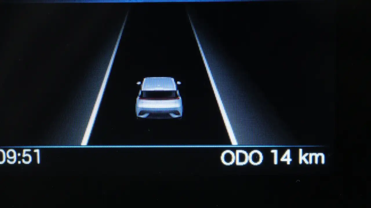 BYD Dolphin Surf 2026