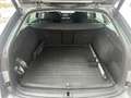 Skoda Octavia Combi 2,0 TDI DSG 4x4 Style Grau - thumbnail 20