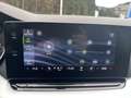 Skoda Octavia Combi 2,0 TDI DSG 4x4 Style Grau - thumbnail 14