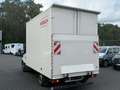 Iveco Daily 35S16 Kühlkoffer Automatik Ladeborwand/ACC Beige - thumbnail 2