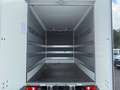 Iveco Daily 35S16 Kühlkoffer Automatik Ladeborwand/ACC Beige - thumbnail 15