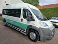 Fiat Ducato FIAT 3.0CNG 3500.- EX BTW 7-PERSOONS ROLSTOELVERVO Wit - thumbnail 10