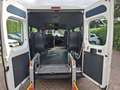 Fiat Ducato FIAT 3.0CNG 3500.- EX BTW 7-PERSOONS ROLSTOELVERVO Wit - thumbnail 13