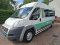 Fiat Ducato FIAT 3.0CNG 3500.- EX BTW 7-PERSOONS ROLSTOELVERVO Wit - thumbnail 15