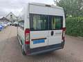 Fiat Ducato FIAT 3.0CNG 3500.- EX BTW 7-PERSOONS ROLSTOELVERVO Wit - thumbnail 6