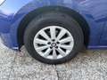 SEAT Ibiza 1.6 tdi Business 95cv Blu/Azzurro - thumbnail 8