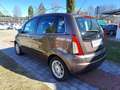 Lancia MUSA 1.4 16V Oro Plus-FRIZIONE NUOVA Brun - thumbnail 6