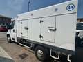 Fiat Ducato   Ducato Furgone Frigo 33 2.3 MJT 140CV PM Wit - thumbnail 5