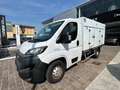 Fiat Ducato   Ducato Furgone Frigo 33 2.3 MJT 140CV PM Wit - thumbnail 6