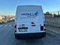 Renault Master Master ENERGY Blue dCi 165 L3H1 VA Weiß - thumbnail 1