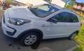 Ford Ka/Ka+ Ka  1,2 Active Active Weiß - thumbnail 3