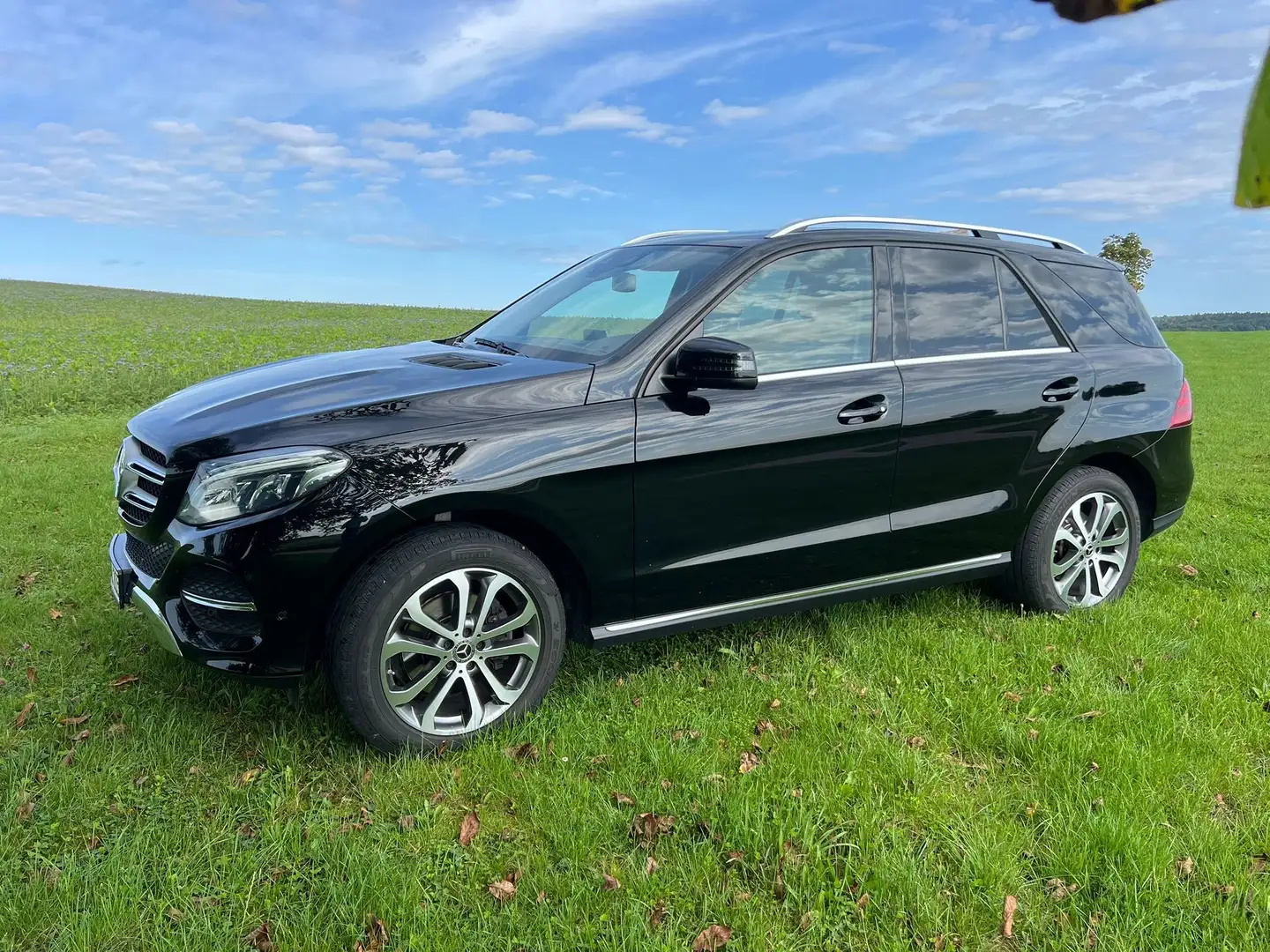 Mercedes-Benz GLE 250 GLE 250 d 4Matic (166.004) Schwarz - 1