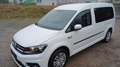 Volkswagen Caddy Maxi Trendline BMT Weiß - thumbnail 2