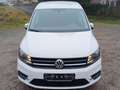 Volkswagen Caddy Maxi Trendline BMT Weiß - thumbnail 1