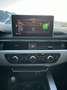 Audi A4 allroad A4 Allroad quattro 2,0 TDI quattro S-tronic Allroad Grau - thumbnail 10