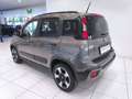 Fiat Panda 1.0 FireFly S&S Hybrid City Cross*GARANTITA* Grijs - thumbnail 16