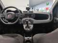 Fiat Panda 1.0 FireFly S&S Hybrid City Cross*GARANTITA* Grijs - thumbnail 25