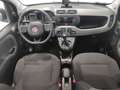 Fiat Panda 1.0 FireFly S&S Hybrid City Cross*GARANTITA* Grijs - thumbnail 4
