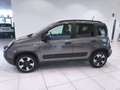 Fiat Panda 1.0 FireFly S&S Hybrid City Cross*GARANTITA* Grijs - thumbnail 2
