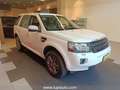 Land Rover Freelander 2.2 td4 XS 4wd 150CV 2014 Blanco - thumbnail 6