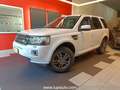 Land Rover Freelander 2.2 td4 XS 4wd 150CV 2014 Blanc - thumbnail 1