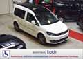 Volkswagen Caddy 1.2 TSI EU5 Edition 30 rollstuhlgerecht Weiß - thumbnail 7