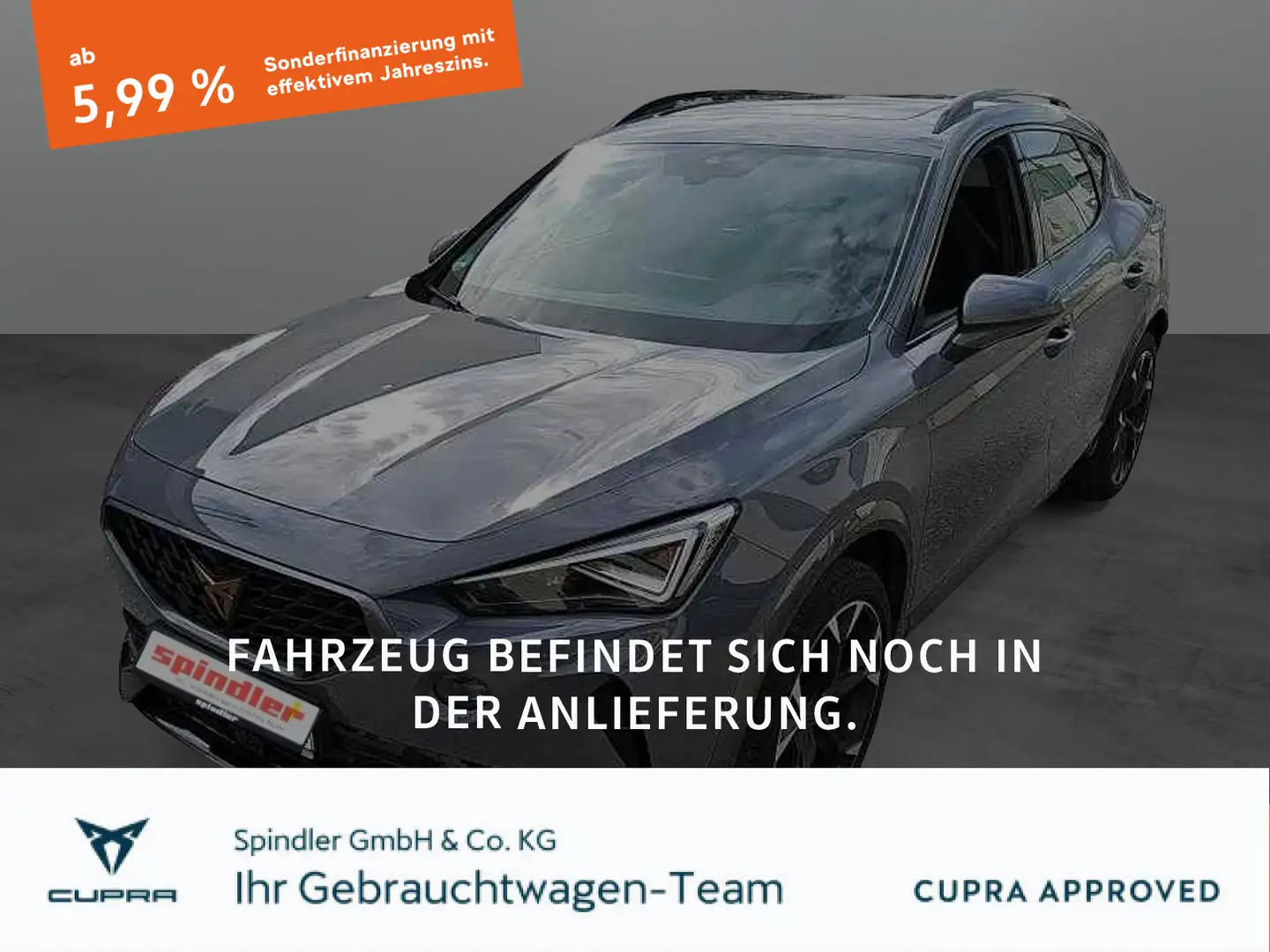 CUPRA Formentor VZ 2.0 TSI 4Drive DSG/ Pano, 360°, AHK Grau - 1