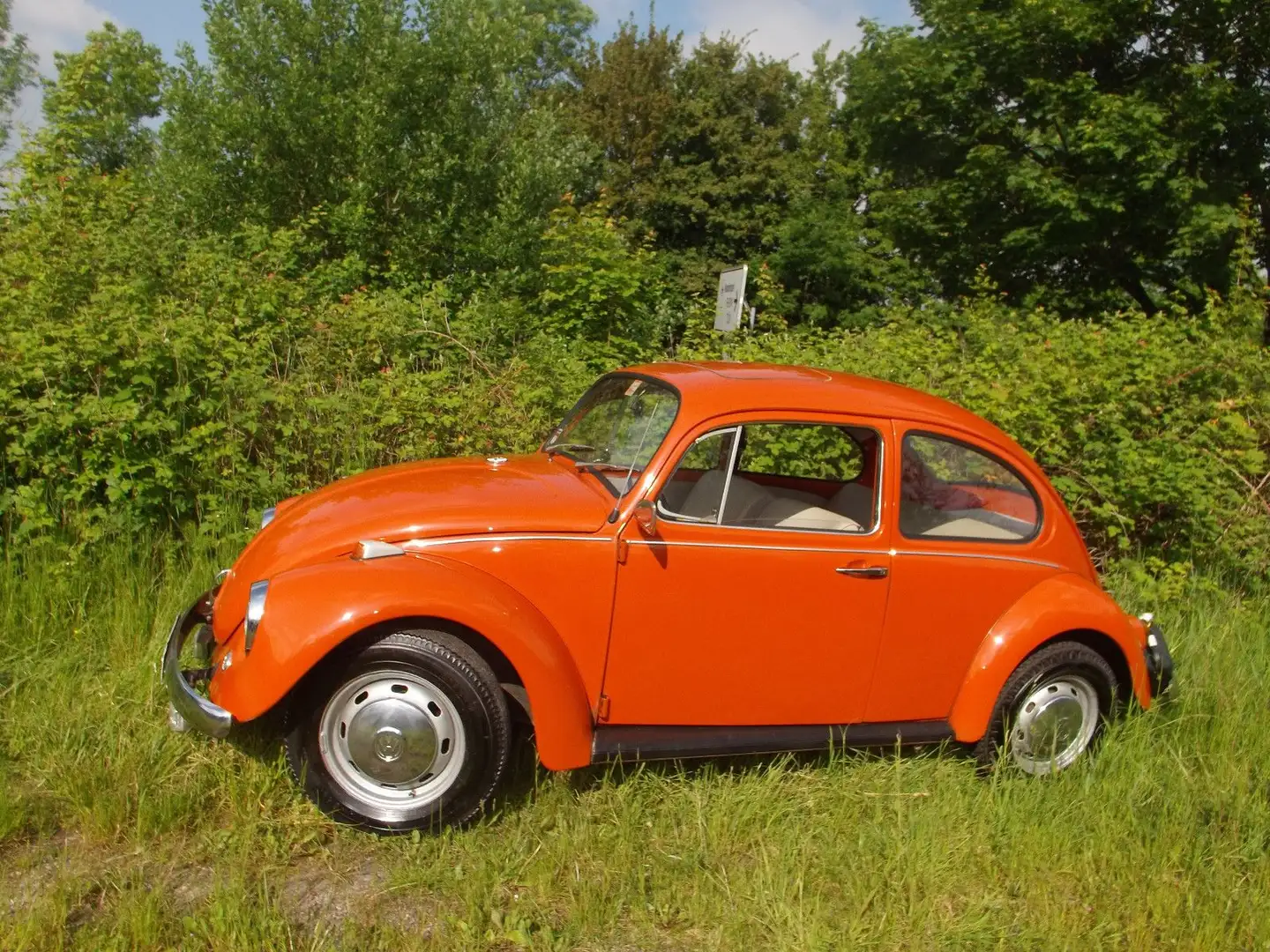 Volkswagen Käfer 1200 aus 1. Hand, Erstlack und Scheckheft! Portocaliu - 1
