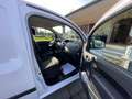 Renault Clio Kangoo Z.E. Electrique Alizee Wit - thumbnail 14