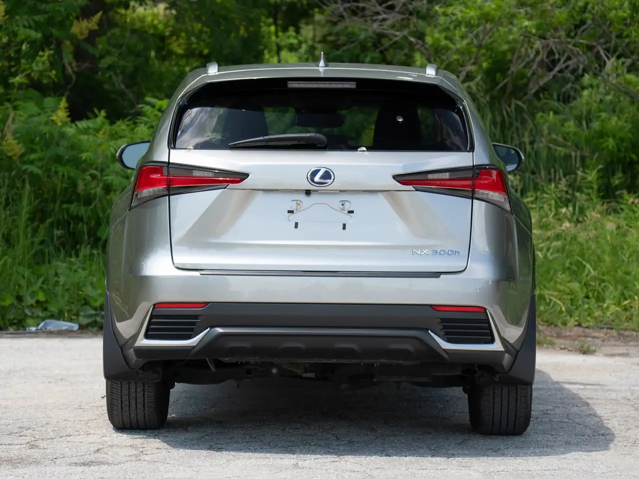 Lexus NX photo Lexus NX