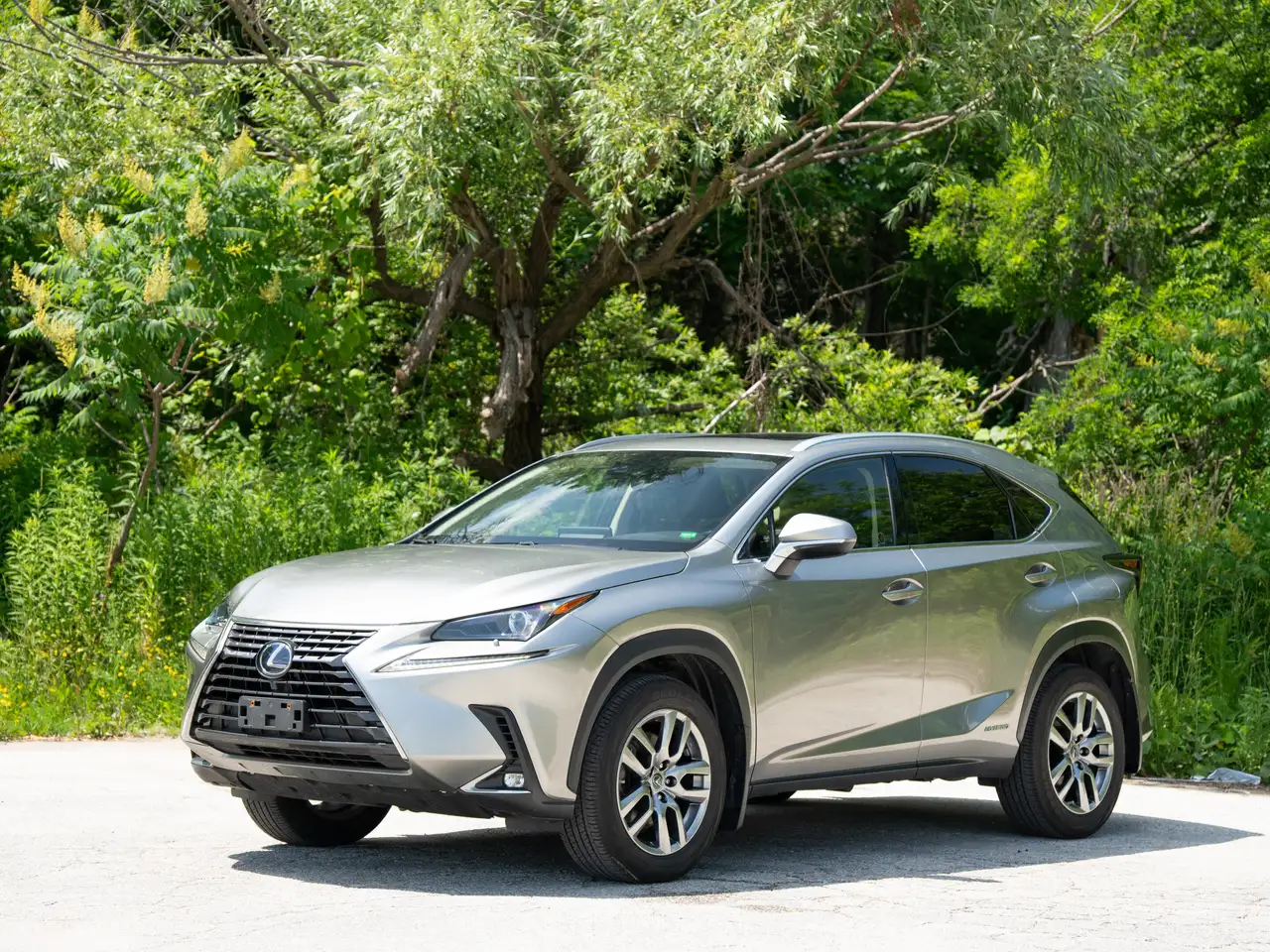Lexus NX photo Lexus NX