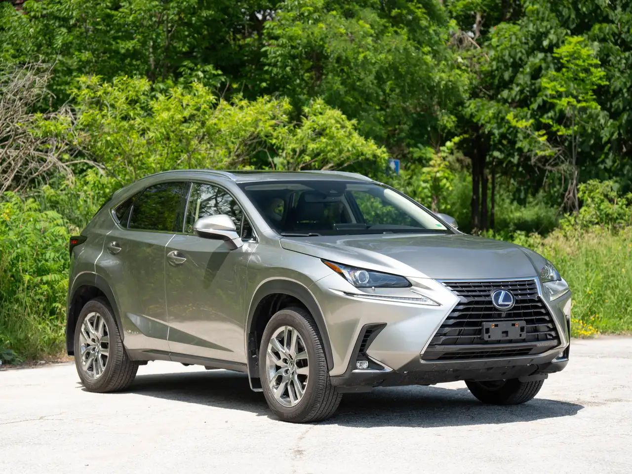Lexus NX photo Lexus NX