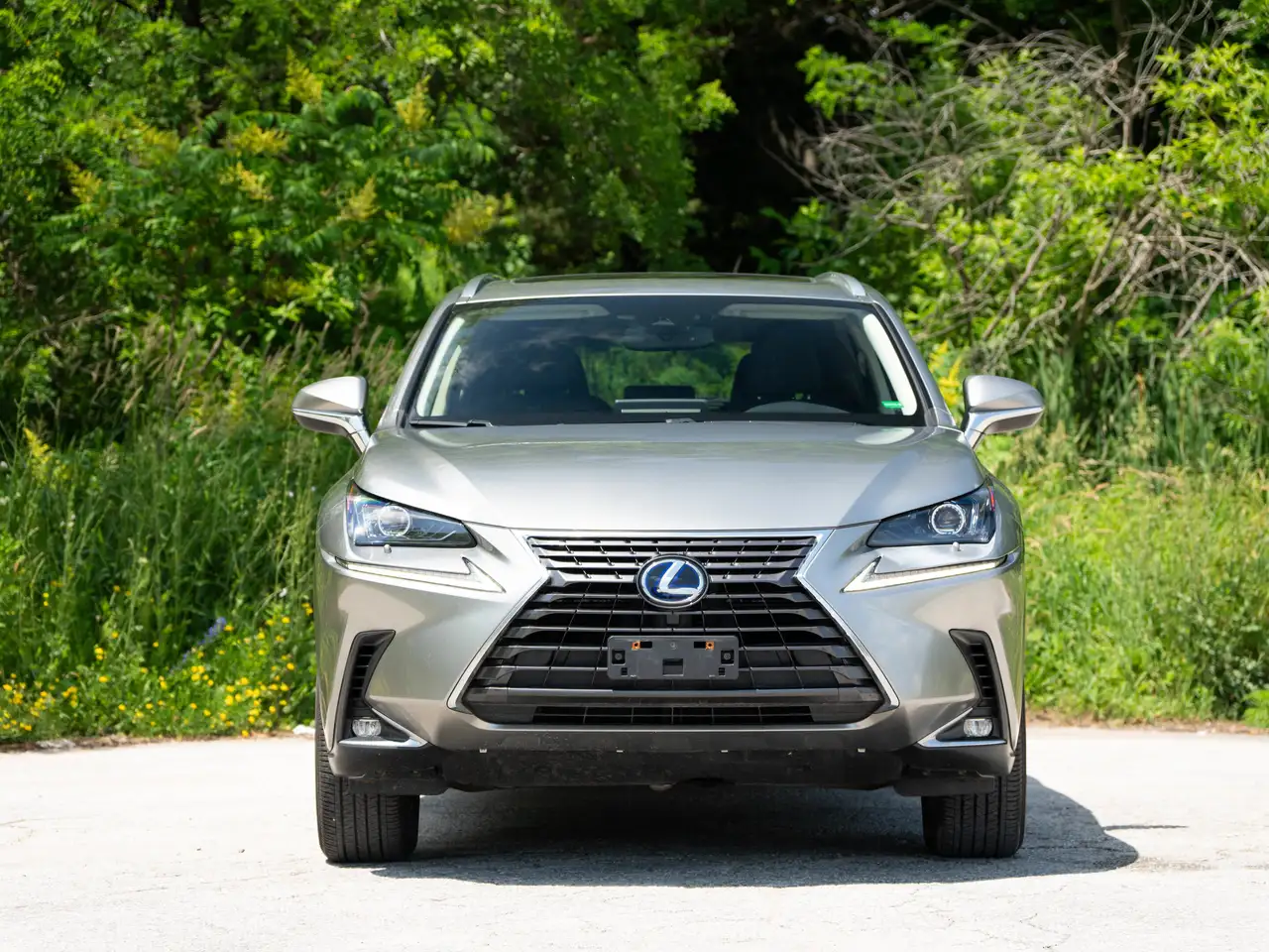 Lexus NX photo Lexus NX