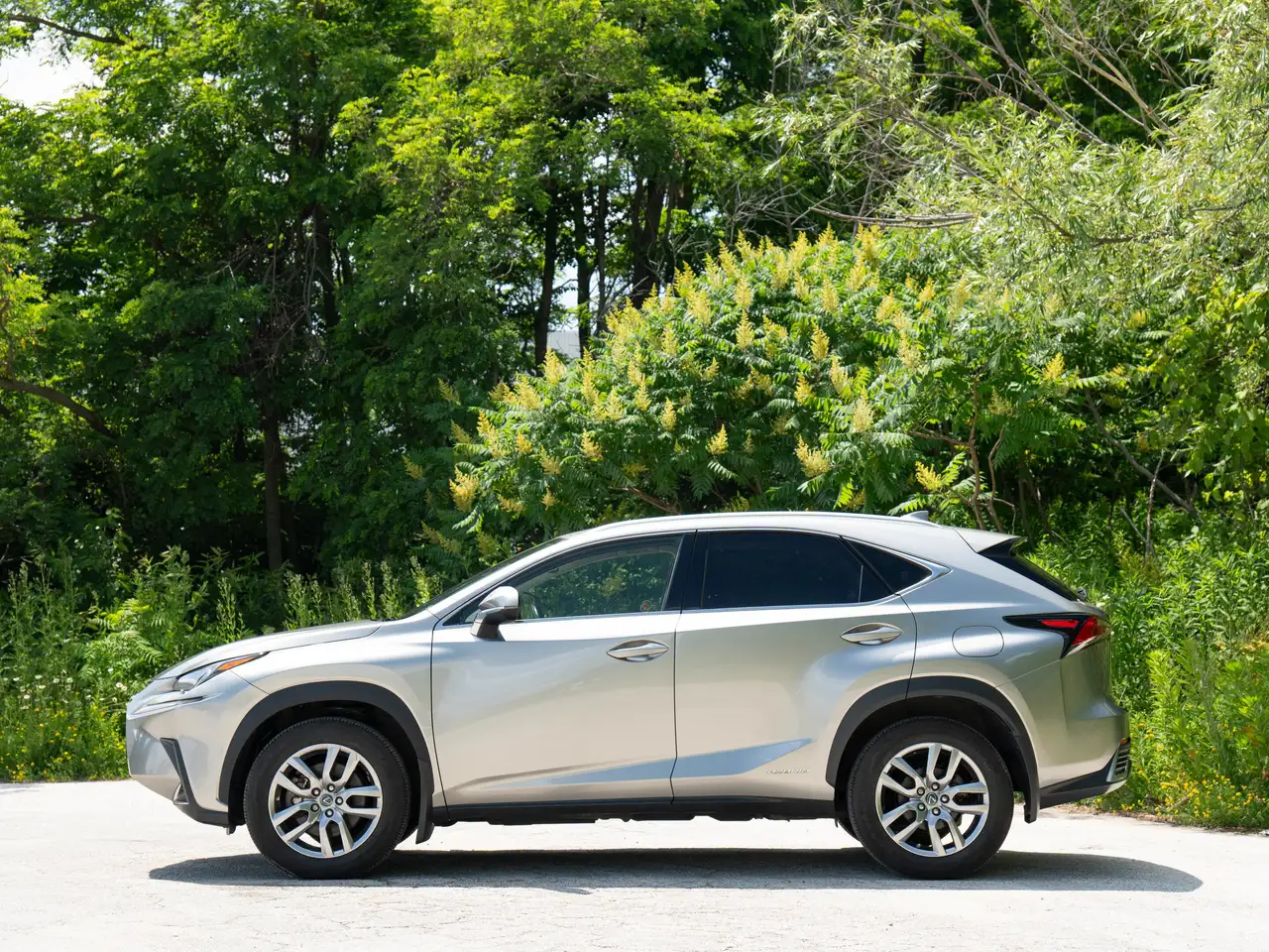 Lexus NX photo Lexus NX