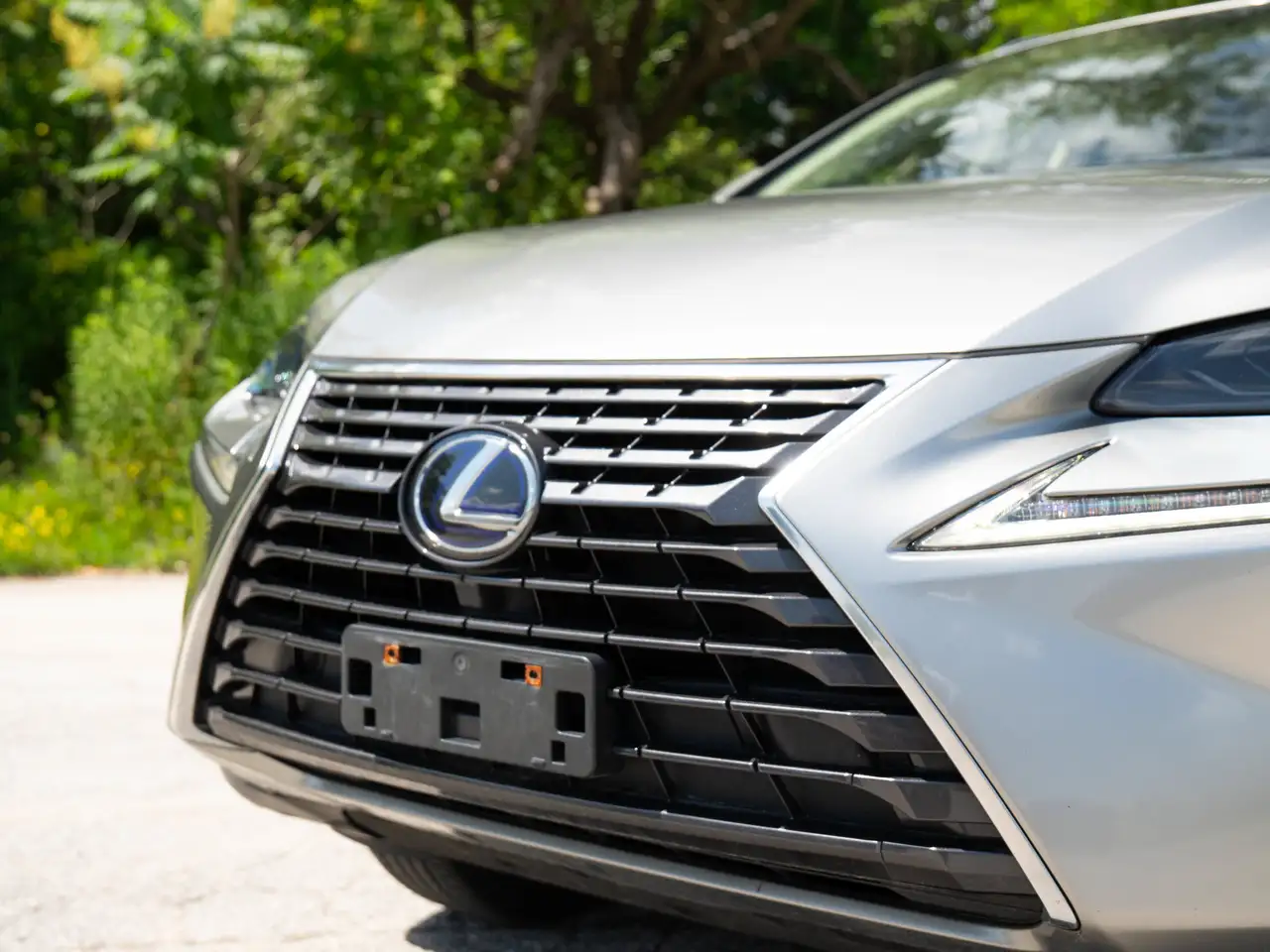 Lexus NX photo Lexus NX